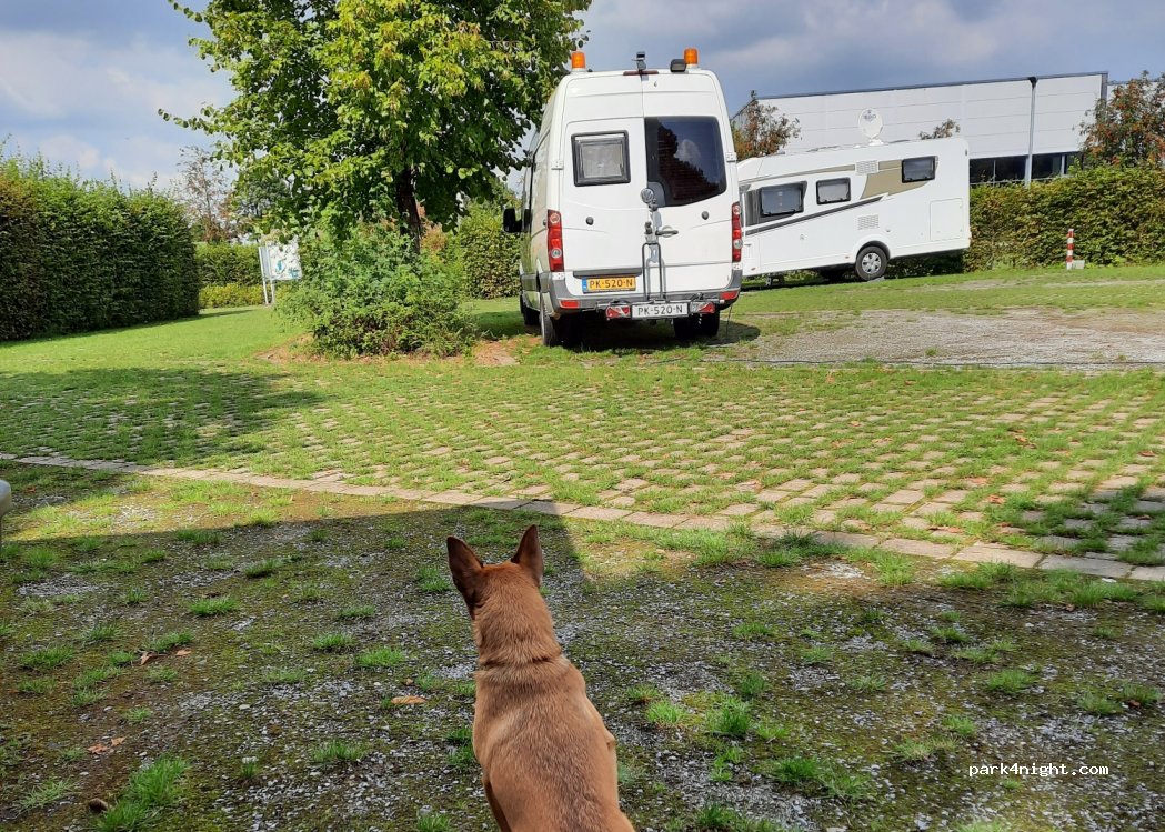 (47638) Straelen - 100 Lingsforter Straße — foto