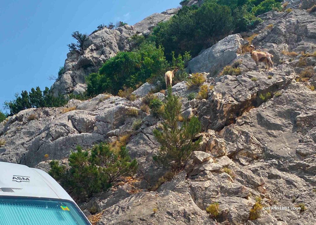 (08022) Dorgali - Unnamed Road — foto