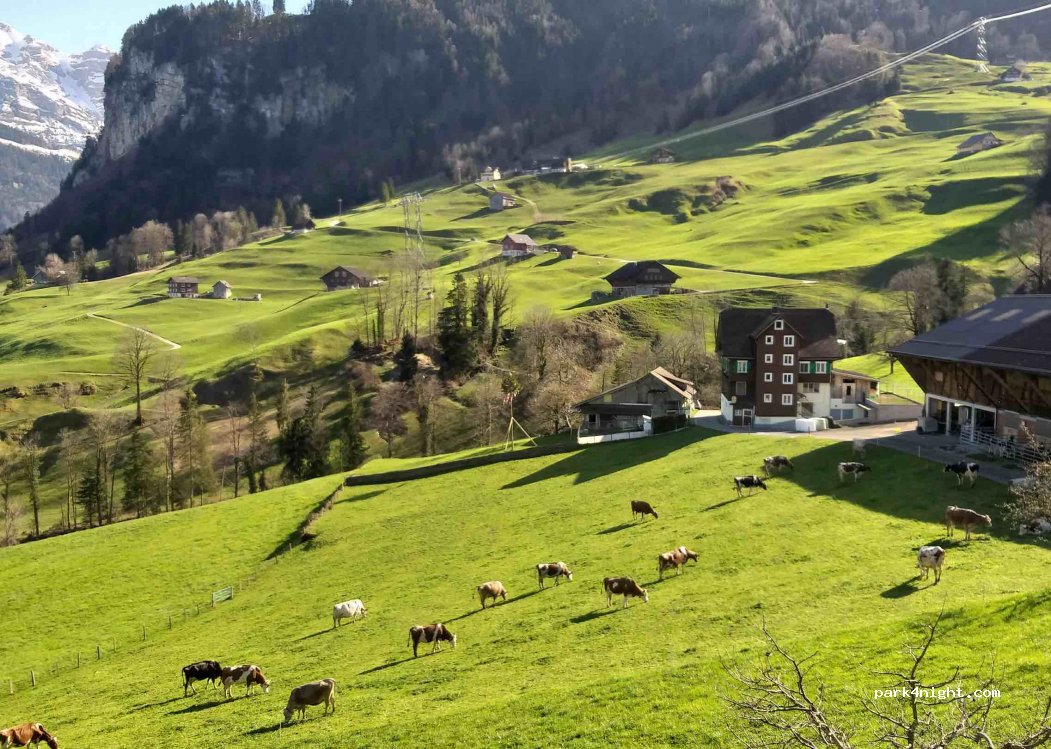 (6383) Dallenwil - Tableten 2 — foto 2