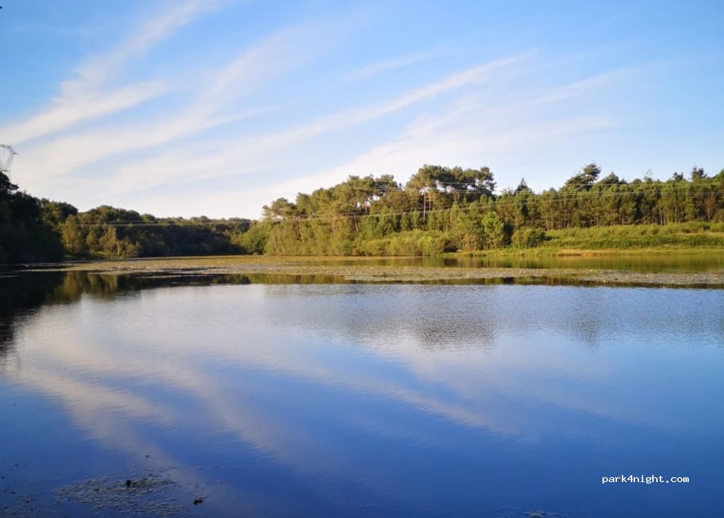 (56130) Saint-Dolay - Kernevy — foto 4