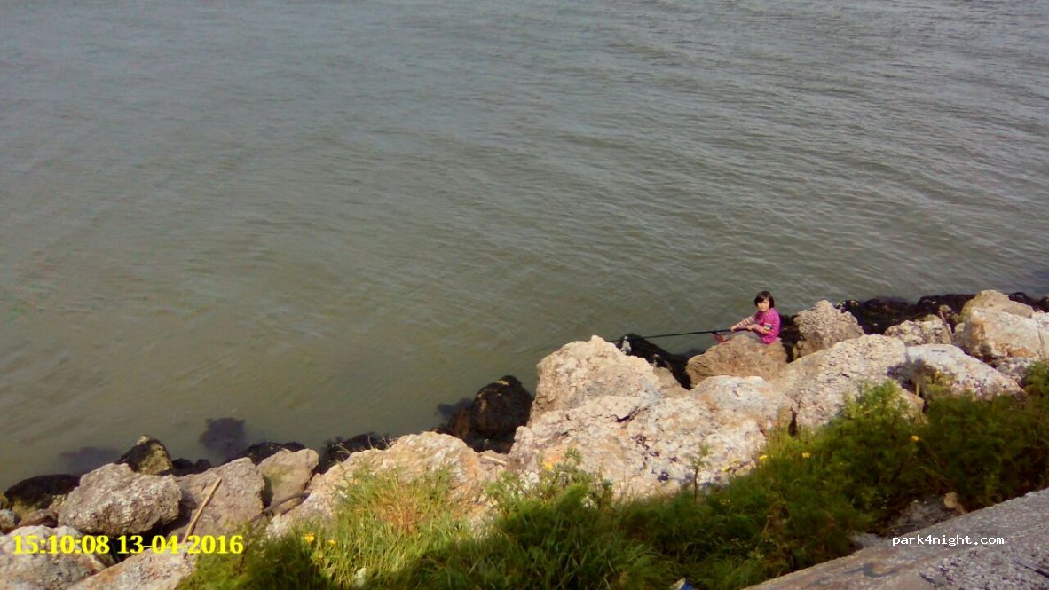 () Figueira da Foz - 6 Rua Cabedelo — foto