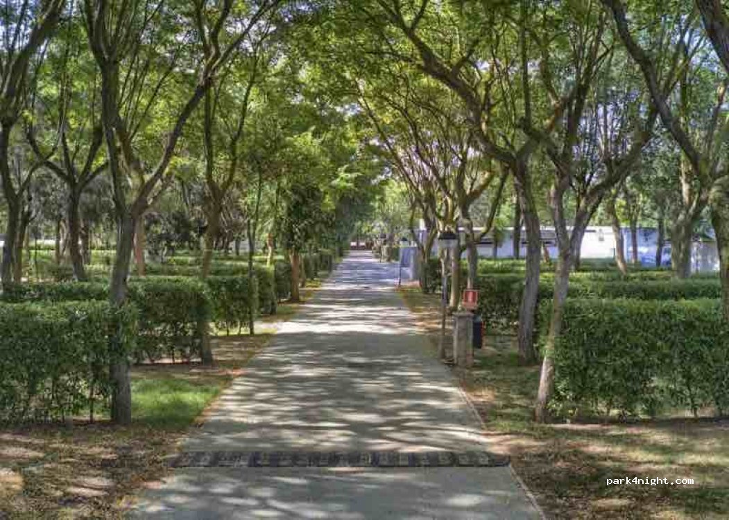 Camping El Faro — foto 2