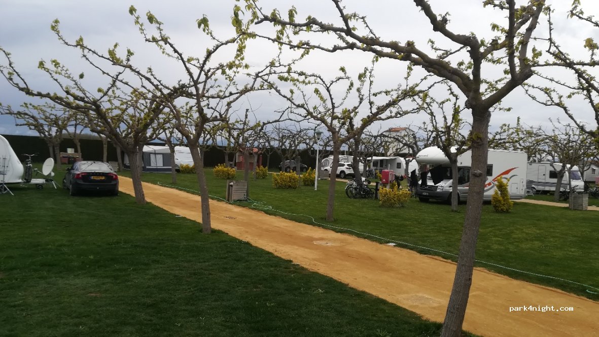 Camping La Gaviota — foto 2