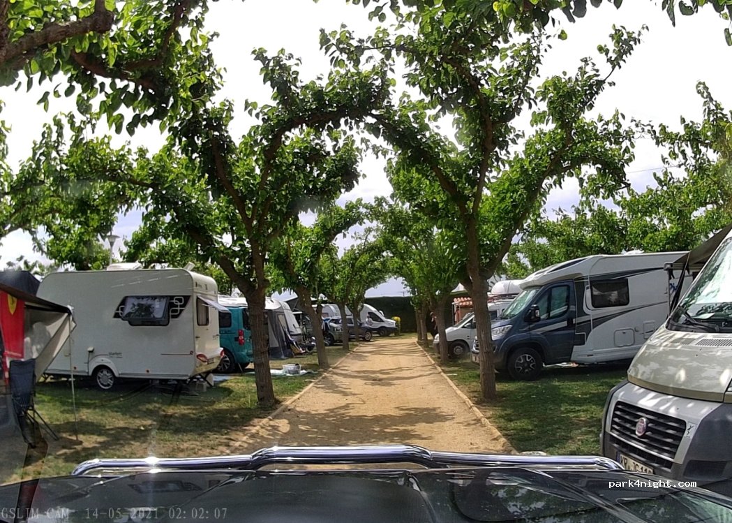 Camping La Gaviota — foto 3