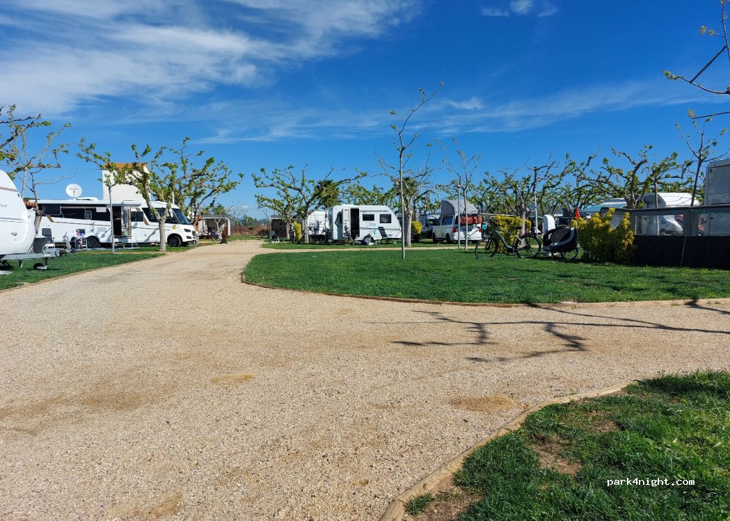 Camping La Gaviota — foto 4