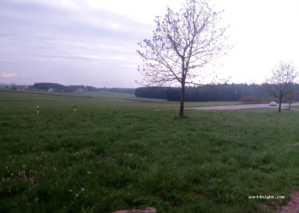 (78733) Aichhalden - Sulgener Str. — foto