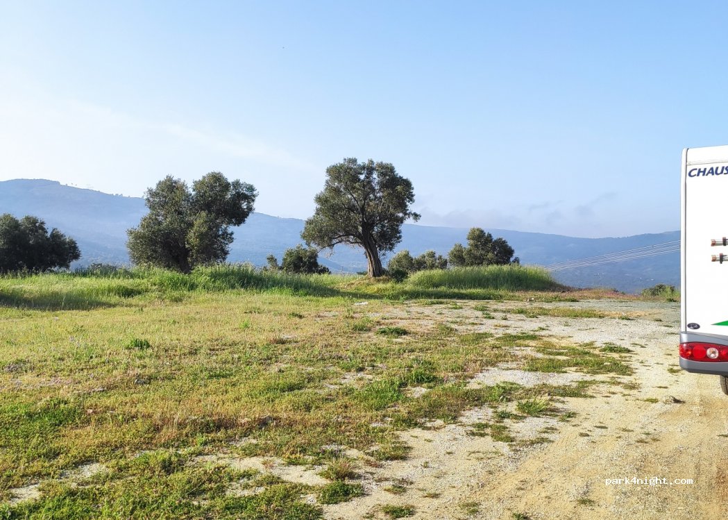 (35920) Selçuk - — foto