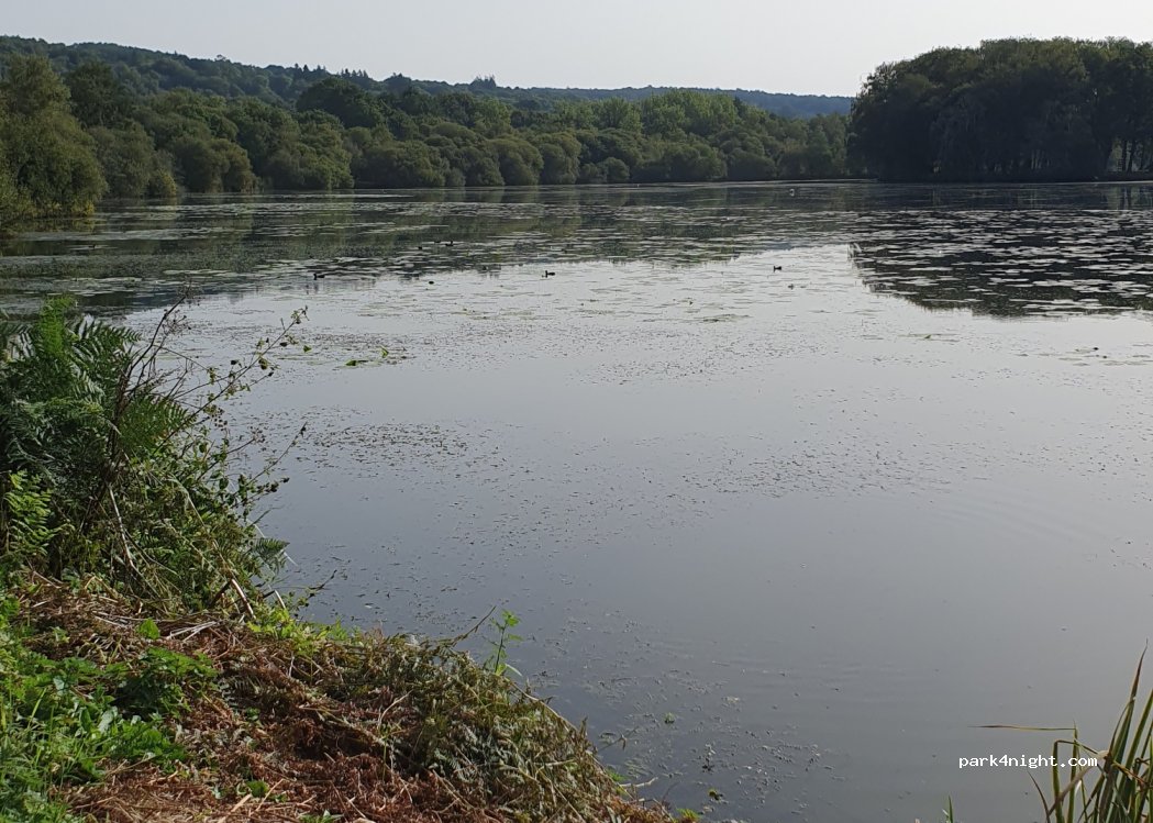 (56390) Brandivy - Étang de la Fôret — foto