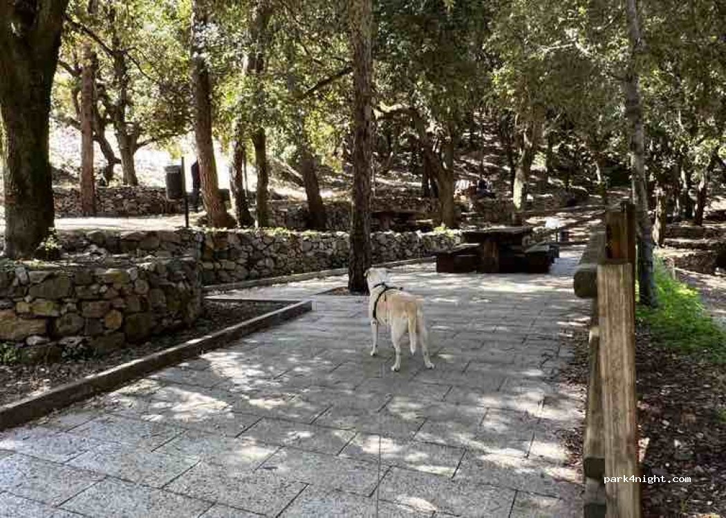 (09035) Gonnosfanadiga - Unnamed Road — foto