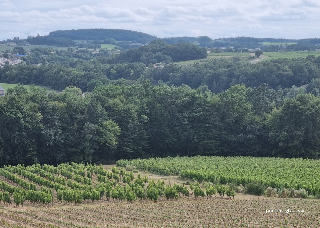 Château Les Hauts De Caillevel — foto 2