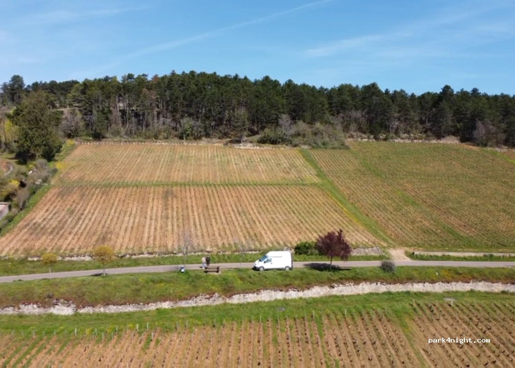 (21420) Savigny-lès-Beaune - Unnamed Road — foto 3