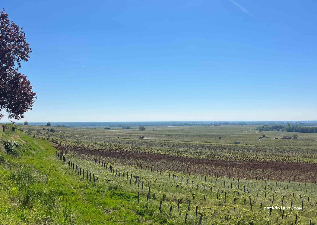 (21420) Savigny-lès-Beaune - Unnamed Road — foto 4