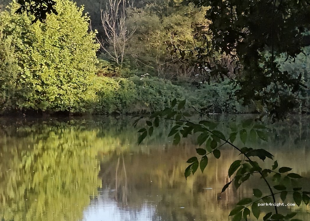 Camping de L'Etang — foto 3