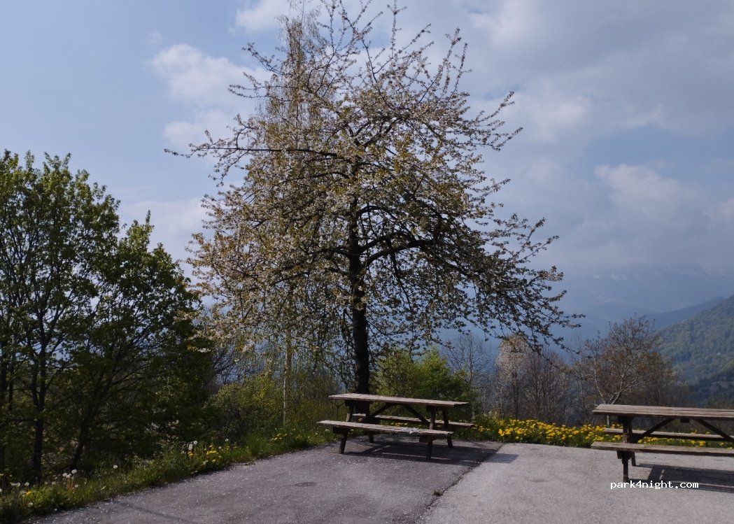 (12025) Fre' - Frazione piatta soprana — foto 2