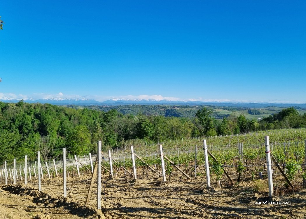 (14040) Vaglio Serra - — foto 3