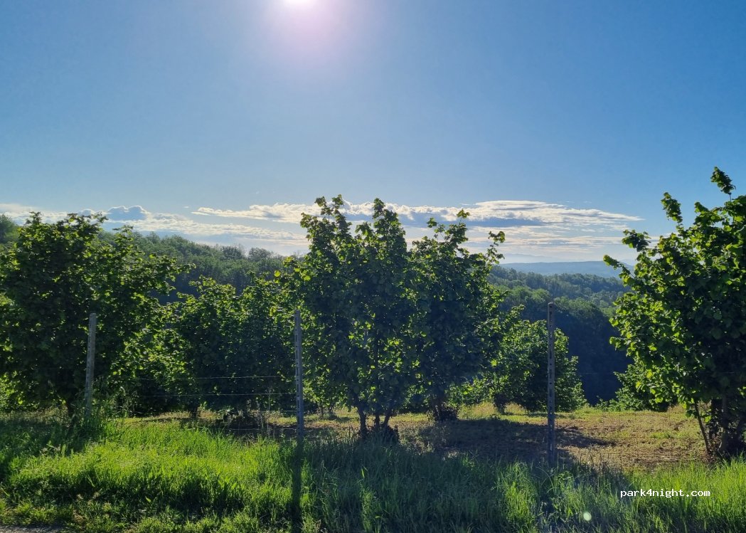 (14040) Vaglio Serra - — foto 4