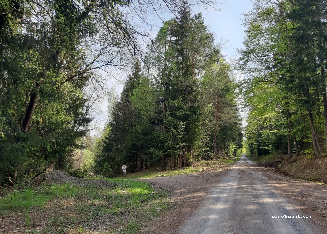 (97705) Waldfensterer Forst - — foto