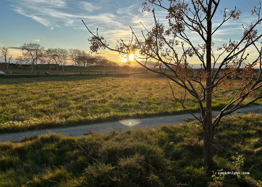 (34310) Capestang - — foto 3