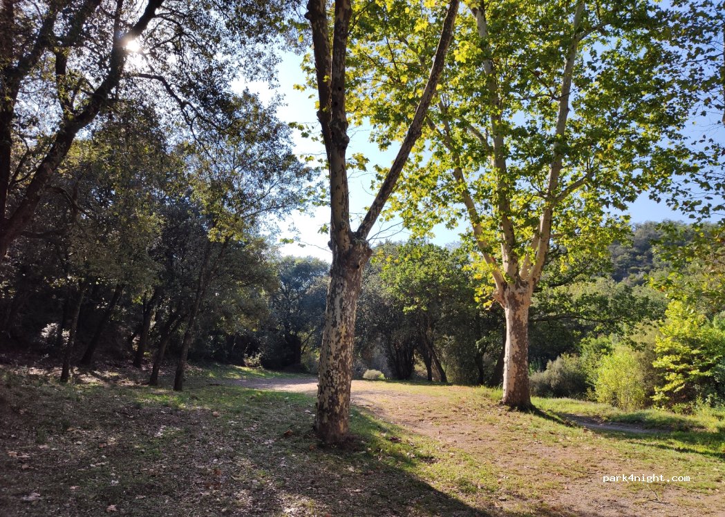 (66300) Montauriol - — foto 2