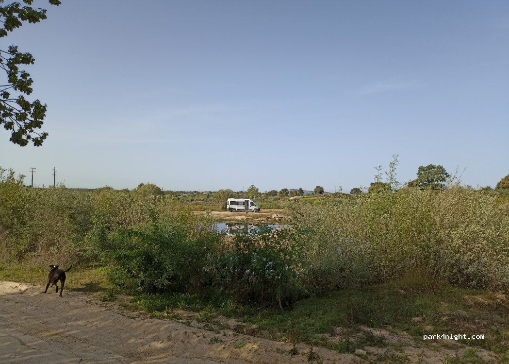 (6000) Castelo Branco - — foto
