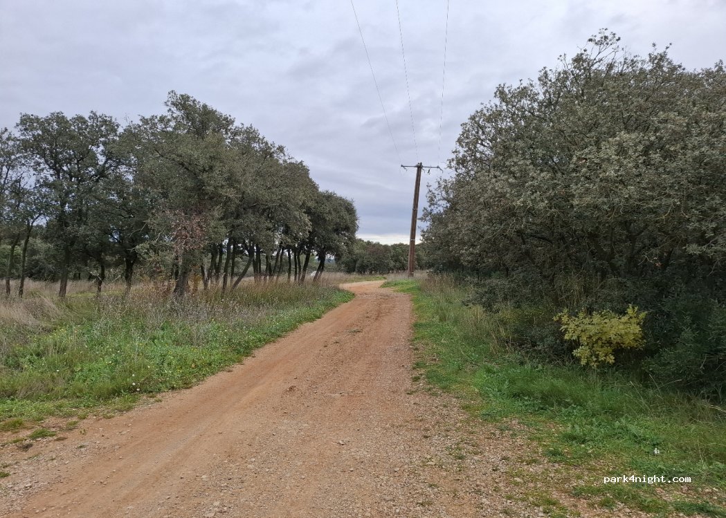 (34660) Cournonterral - 9061F La Matte — foto 2