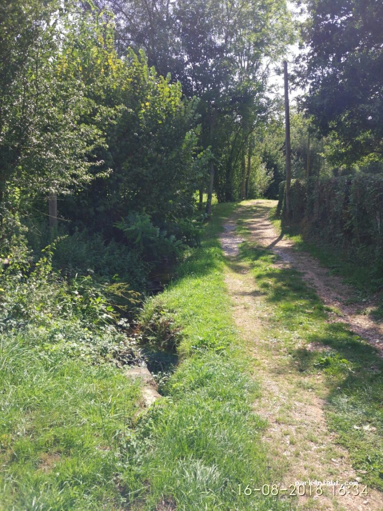 (61160) Merri - La Louvière — foto 2