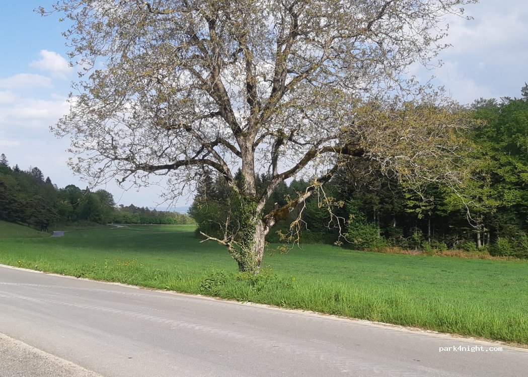 (1355) L'Abergement - 19 Pré de l'Hôpital — foto