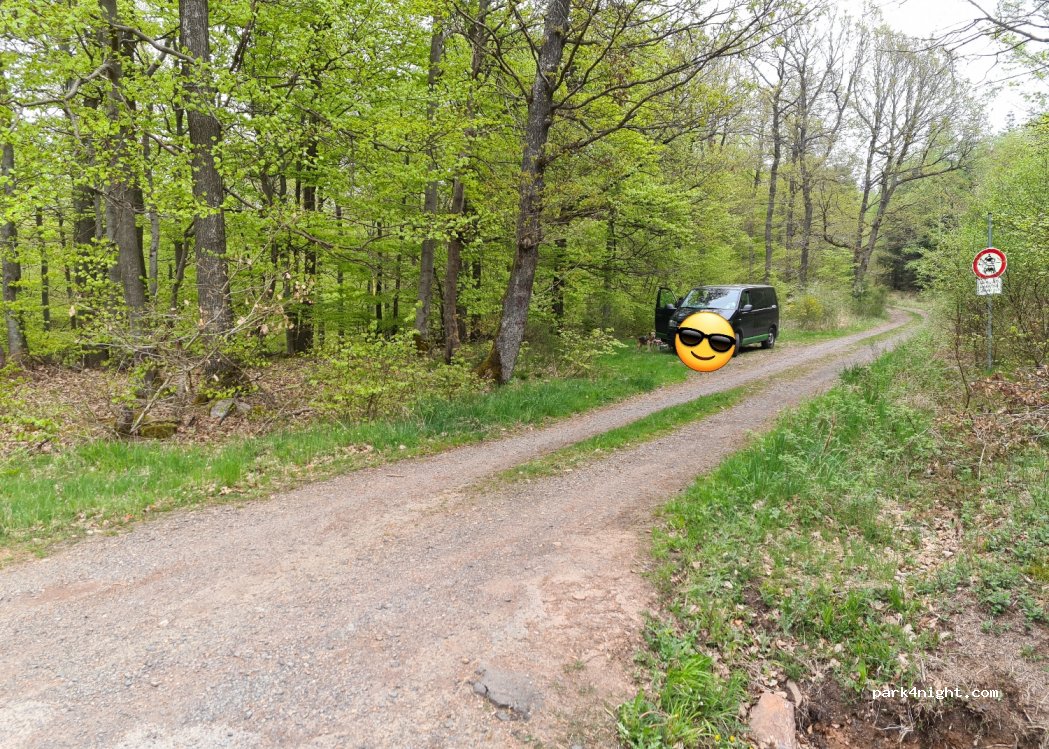 (55490) Gemünden - L229 — foto