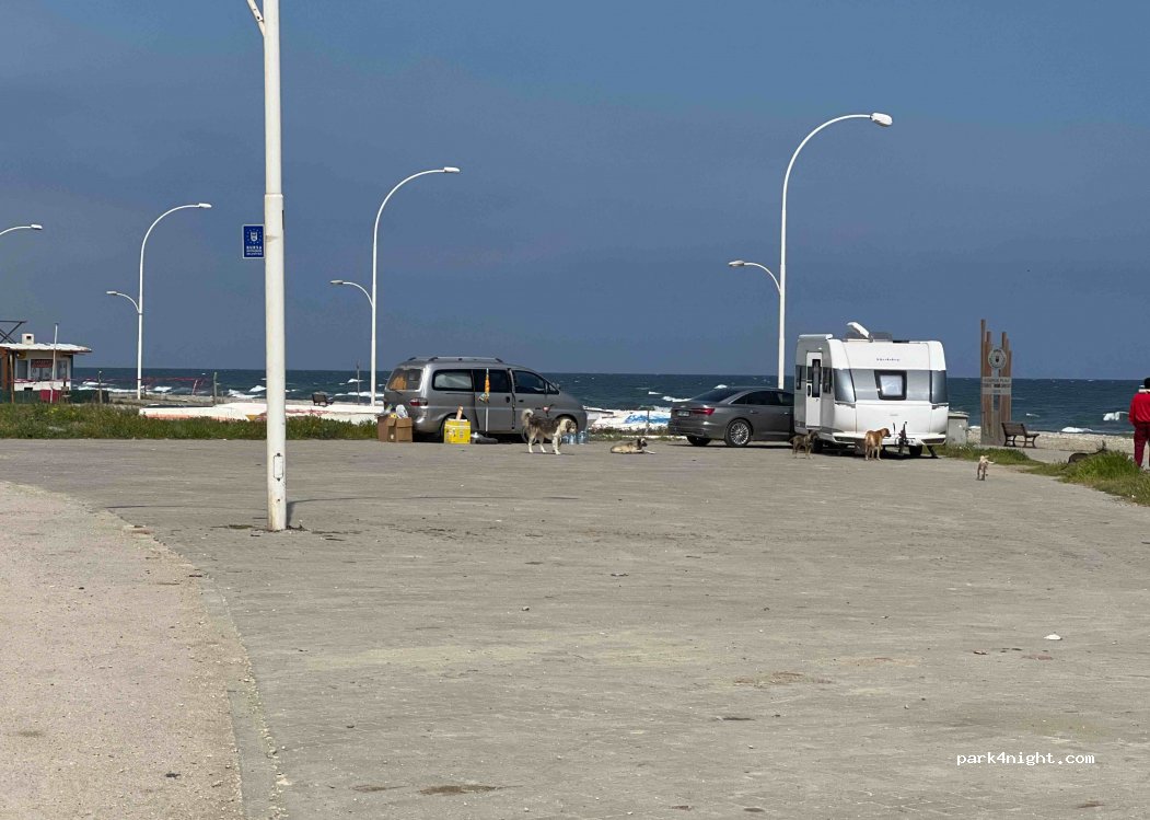 (16960) Bursa - Mesudiye Sahil Yolu — foto 3