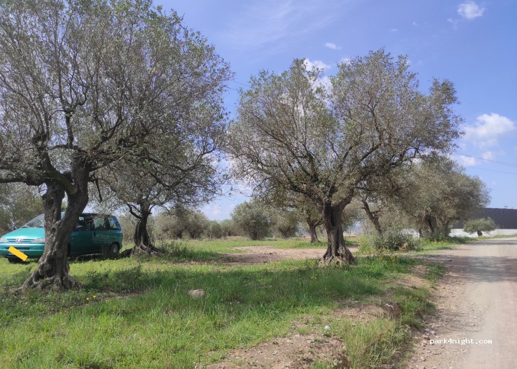 (17257) Torroella de Montgrí - 39 Avinguda de Francesc Macià — foto 2