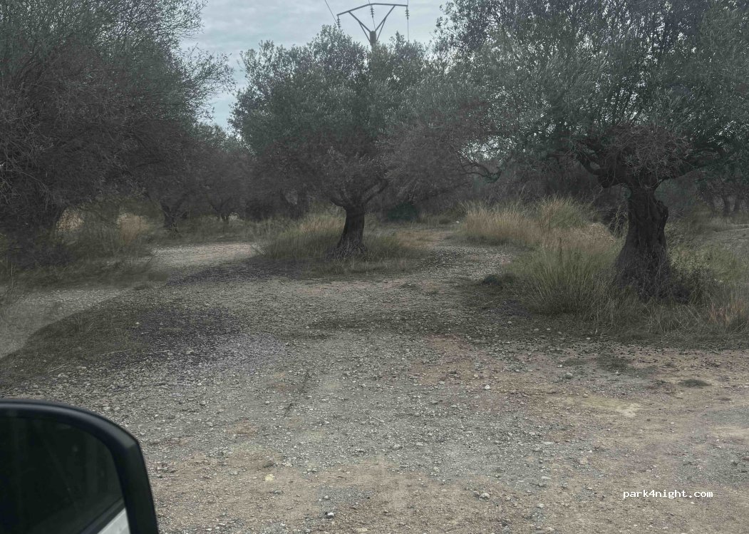 (17257) Torroella de Montgrí - 39 Avinguda de Francesc Macià — foto 5