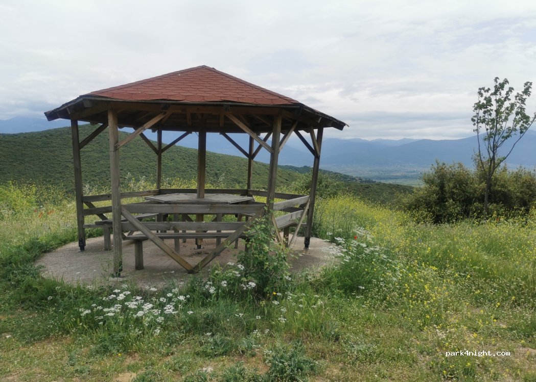 (350 11) Trilofo - Επαρ.Οδ. Μακρακώμης - Ξυνιάδας — foto