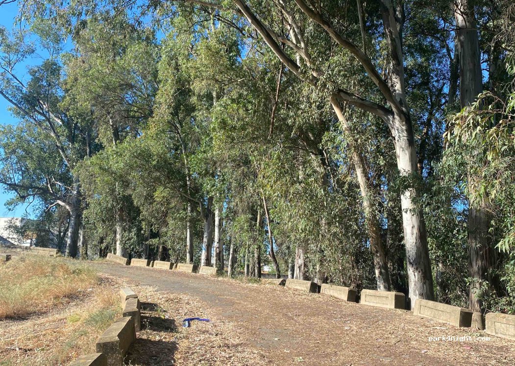 (21600) Valverde del Camino - 1A Sector Ue-11 Huerta Pérdida — foto 4