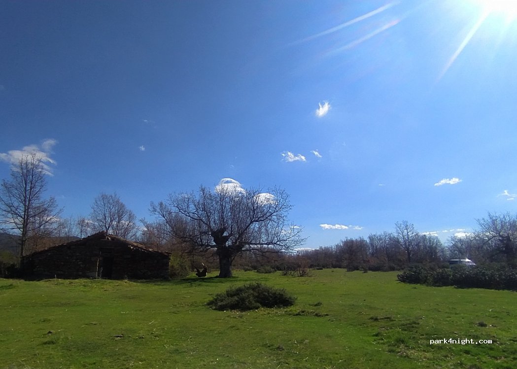 (09640) Jaramillo de la Fuente - — foto 2