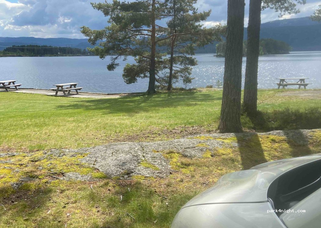 Vik Camping — foto 4