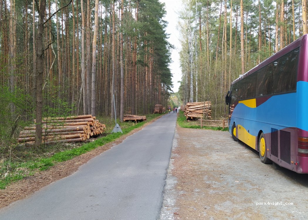 (97) Konewka - Unnamed Road — foto 2