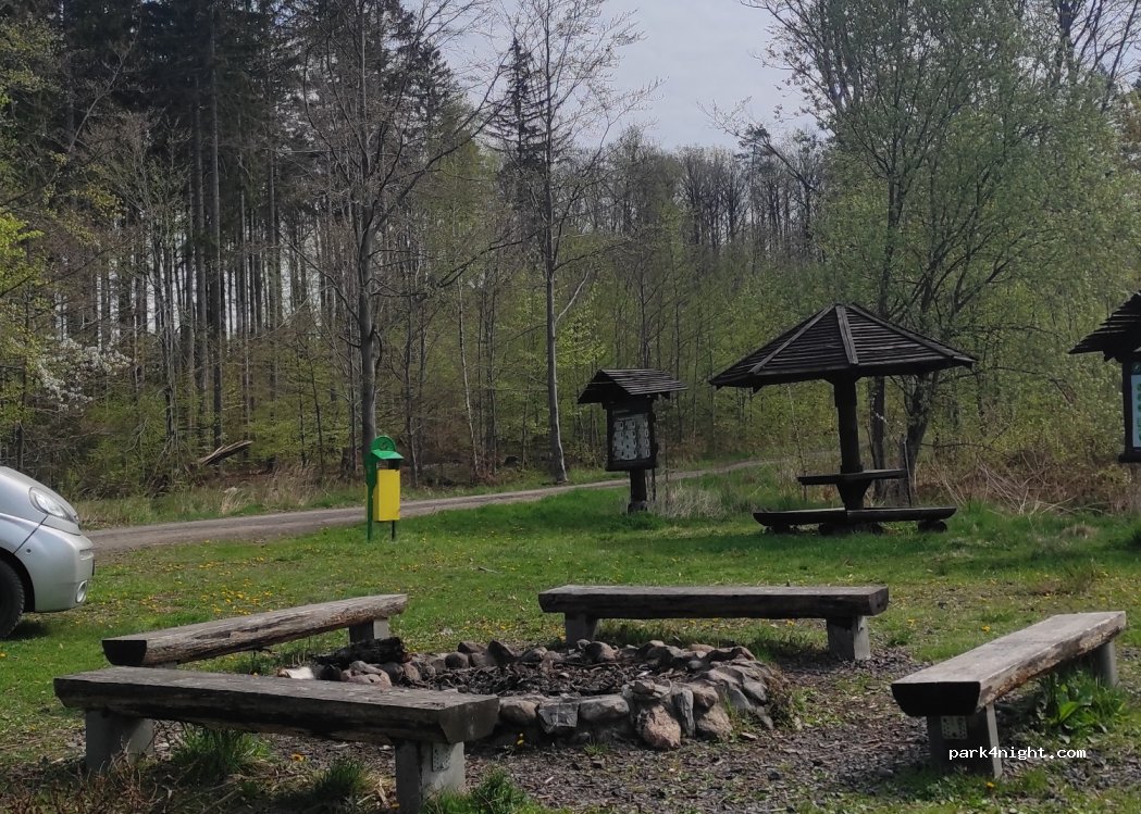 (59) Gozdno - Unnamed Road — foto