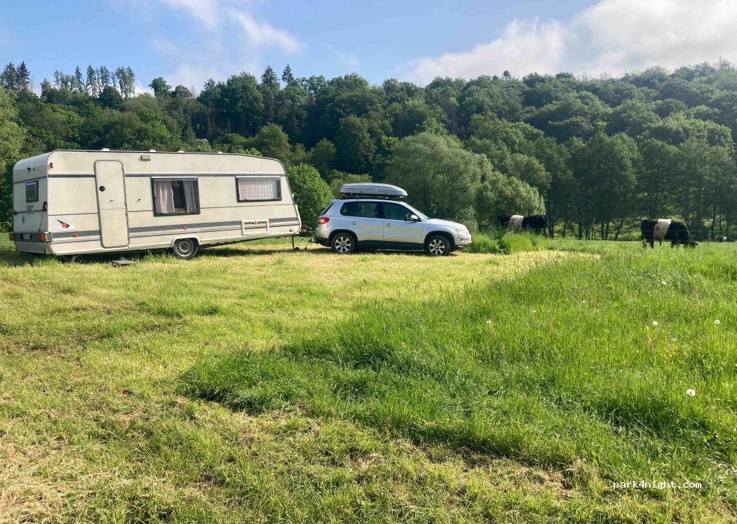 (36179) Bebra - Rosweg 7 — foto 4