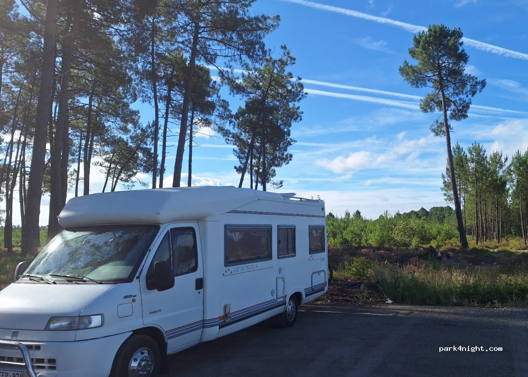 (40410) Pissos - 901 Route de Mont de Marsan — foto 4