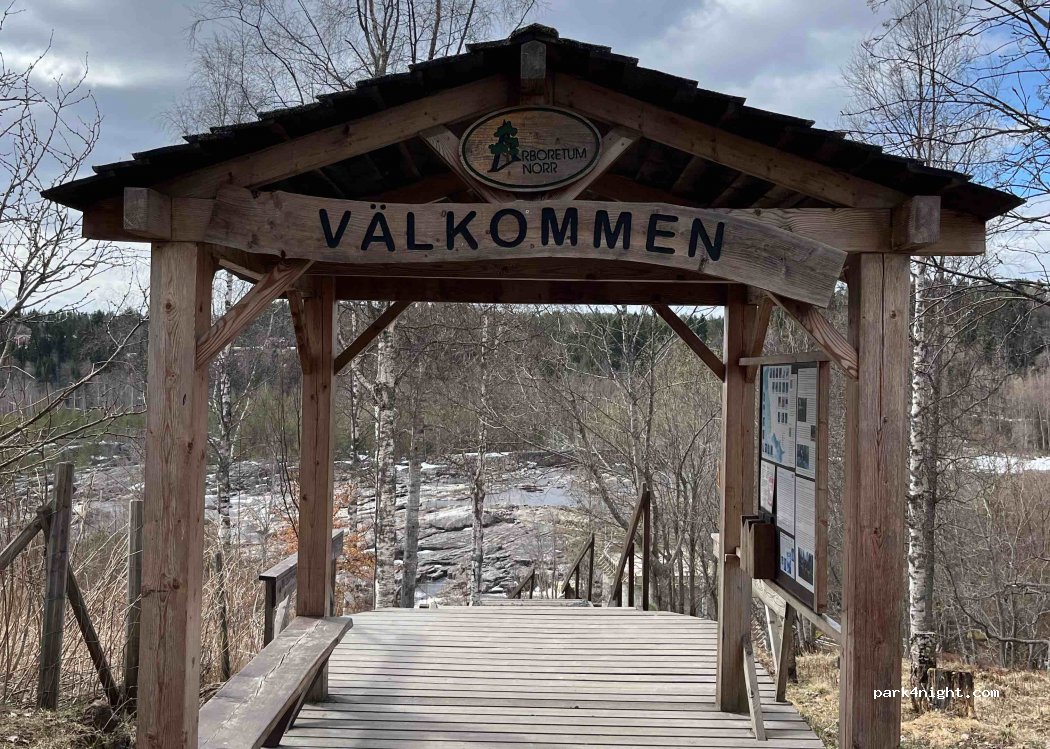 (905 92) Umeå - 117 Baggböle — foto