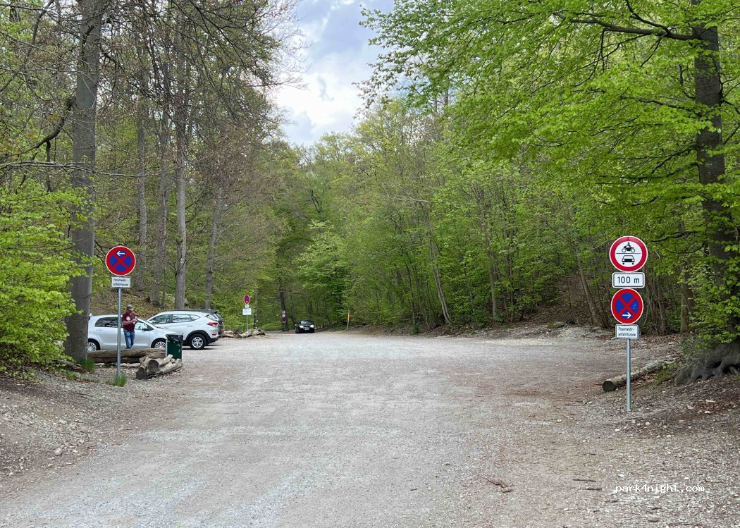 (82031) Grünwald - — foto