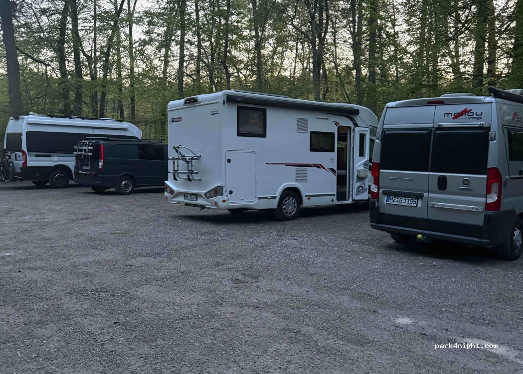 (82031) Grünwald - — foto 5