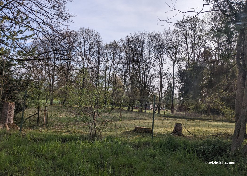 (9351) Tandel - 353 — foto 3