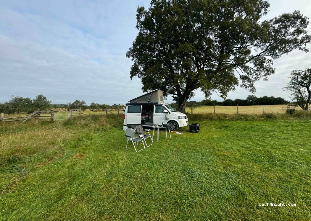 Pwllyn Farm Camping — foto 3