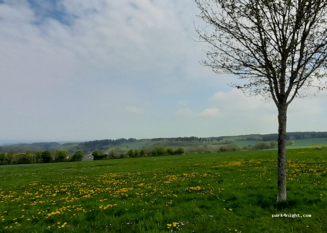 (54497) Morbach - 2 Keltenstraße — foto 3