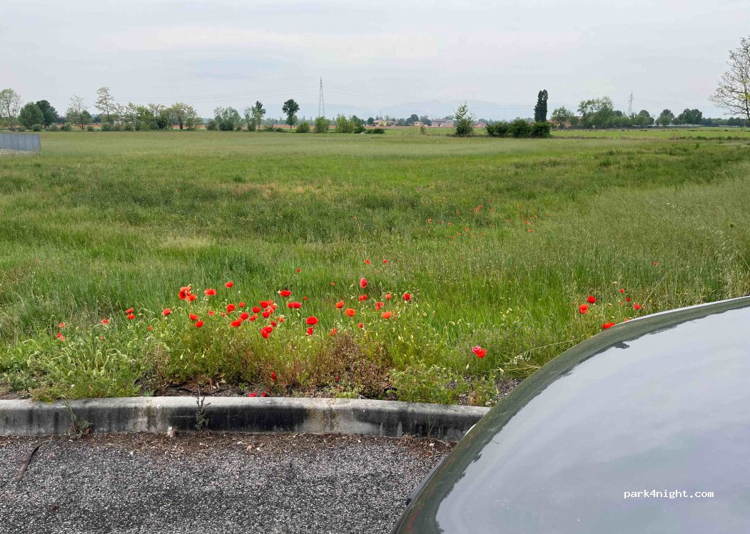 (25018) Montichiari - 273 Via Mantova — foto 3
