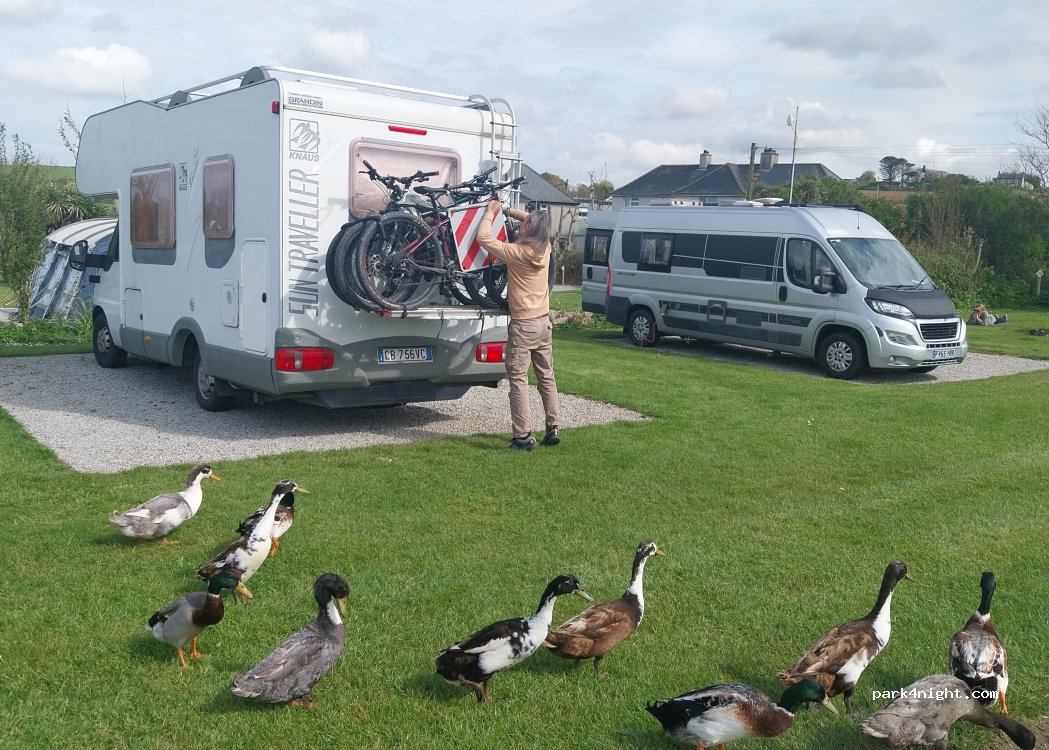 Gwithian Farm Campsite — foto 5