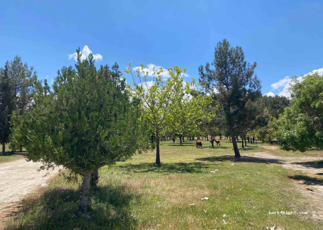 (63850) Şanlıurfa - — foto