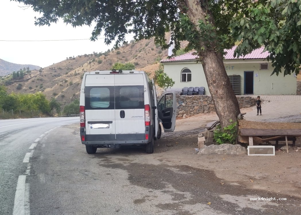 (13000) Tanrıyar - D965 — foto 2