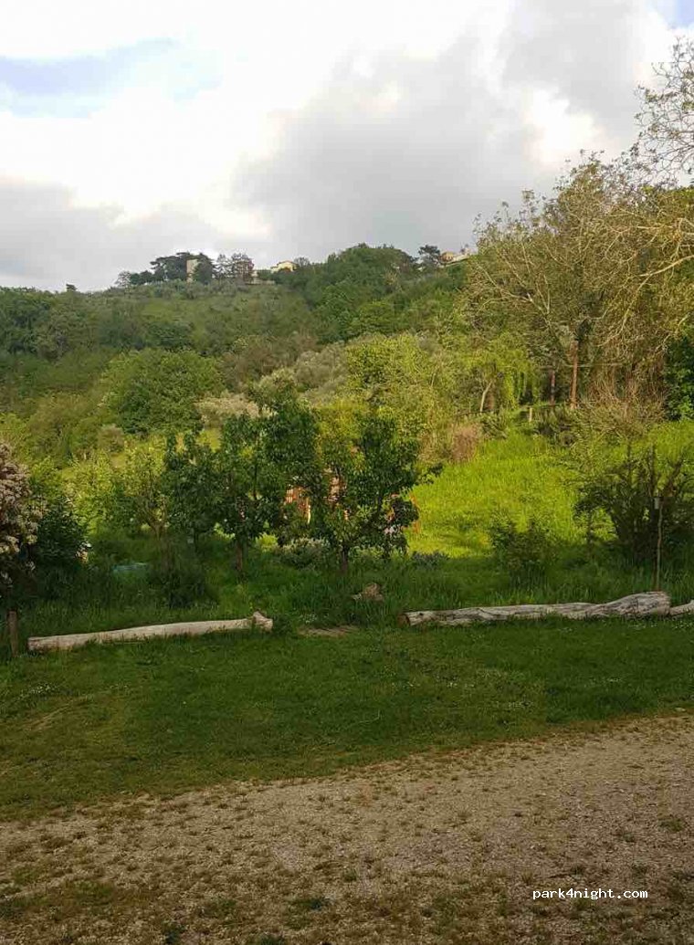 Fattoria Maneggio Giorgetti — foto 4